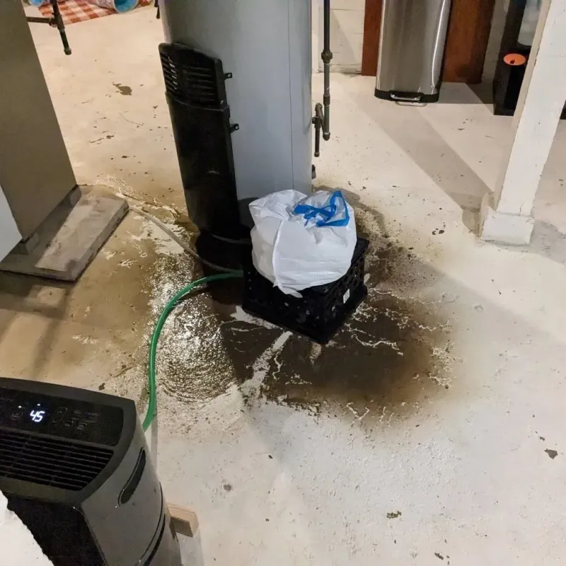 Sewage Backup Cleanup Service in Vidalia, LA